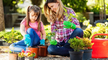 Image of 7 Helpful Tips to Prepare Your Garden for Spring