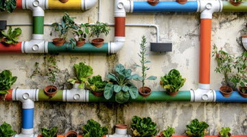 Image of  Simple Steps for Small-Space Gardening Success