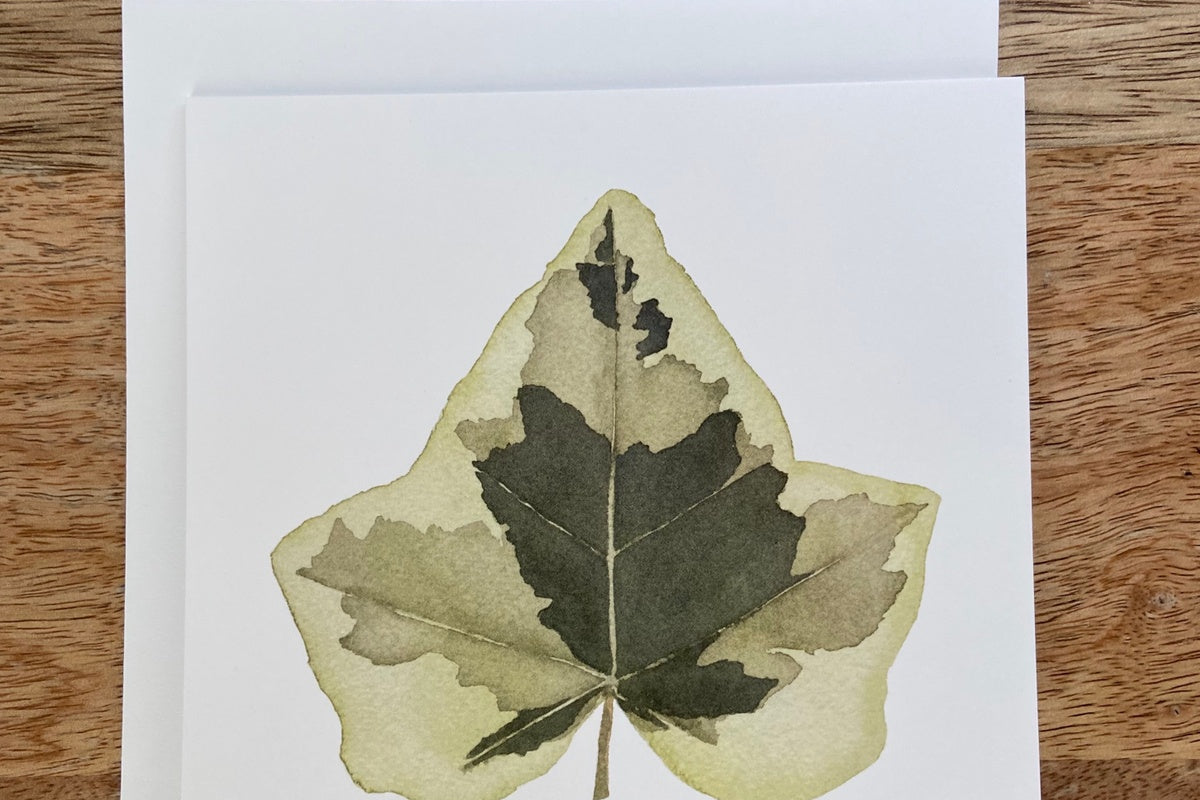 Variegated English Ivy Plant Any Occasion Card