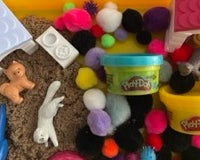 Paws & Play Sensory Box Pet Themed Activities for Kids