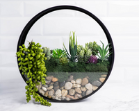 Wall Terrarium DIY Craft Kit