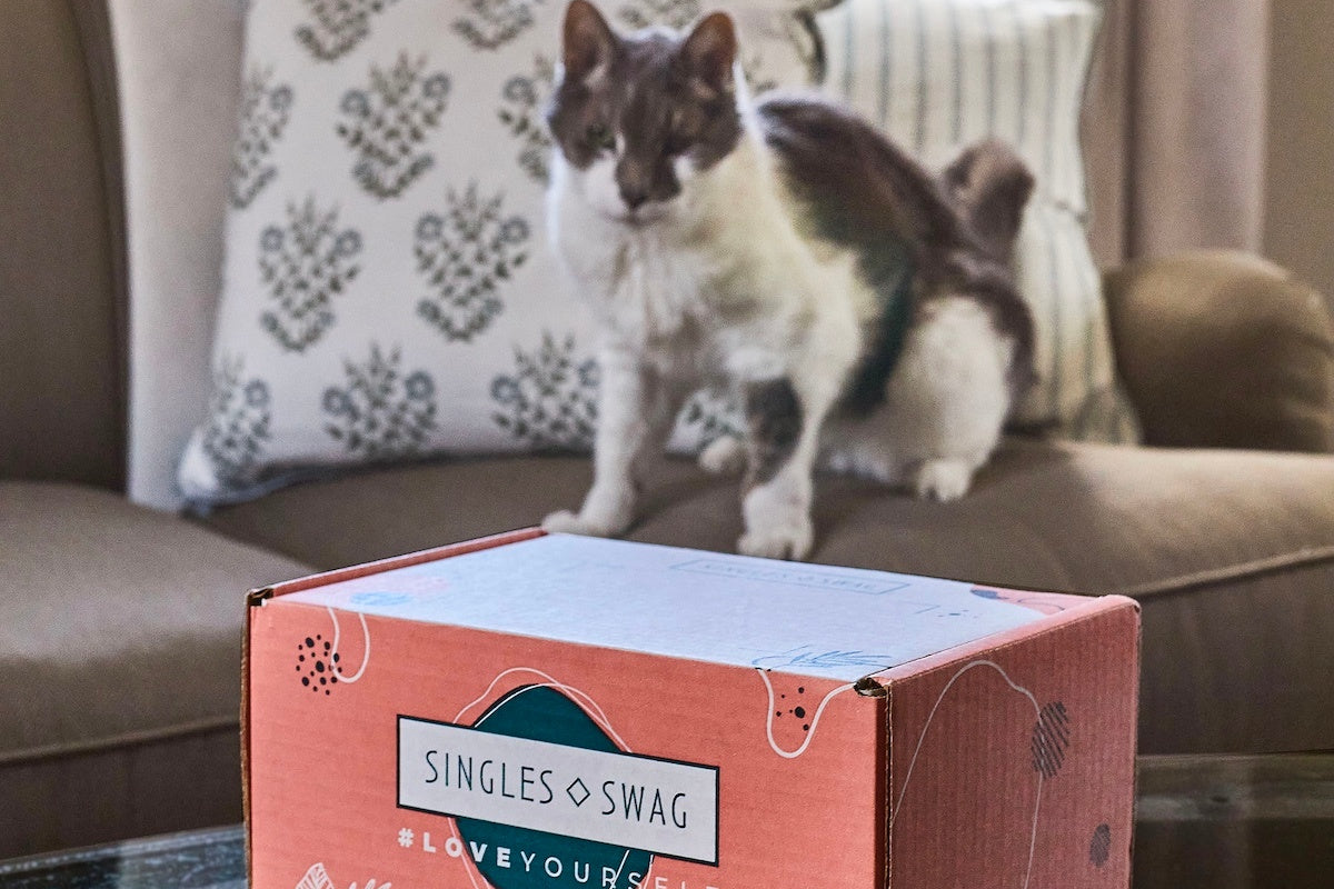 𝐂𝐚𝐭 𝐌𝐨𝐦 𝐌𝐲𝐬𝐭𝐞𝐫𝐲 𝐁𝐨𝐱 (10 items for both cats & their moms to enjoy!)