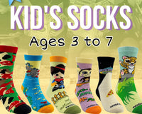 Sock Panda Kids Socks (Ages 3-7)  -  Two Pairs Each Month