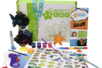 Sea Life Craft & Activity Box for Ages 8+