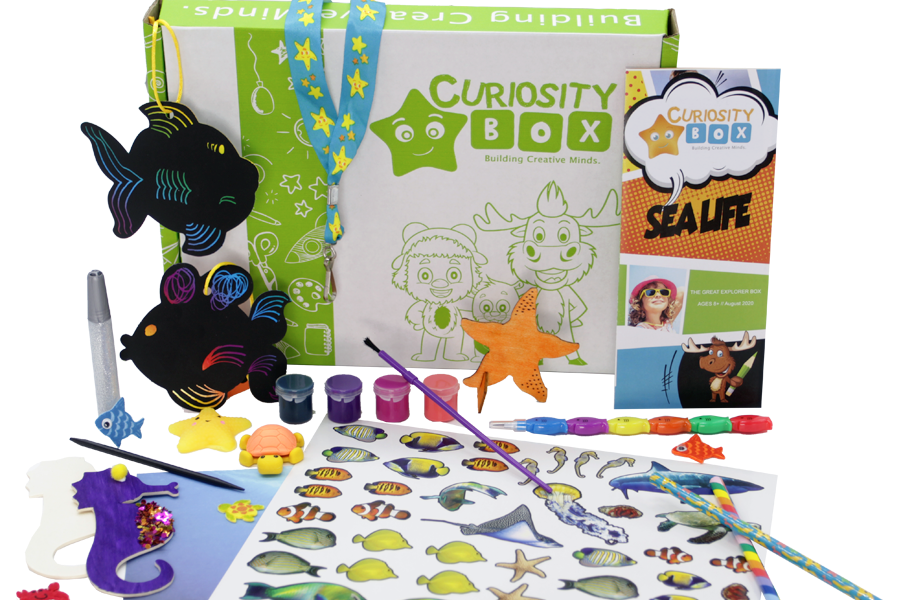 Sea Life Craft & Activity Box for Ages 8+