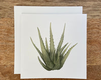 Aloe Vera Any Occasion Card