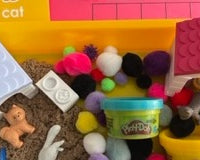 Paws & Play Sensory Box Pet Themed Activities for Kids