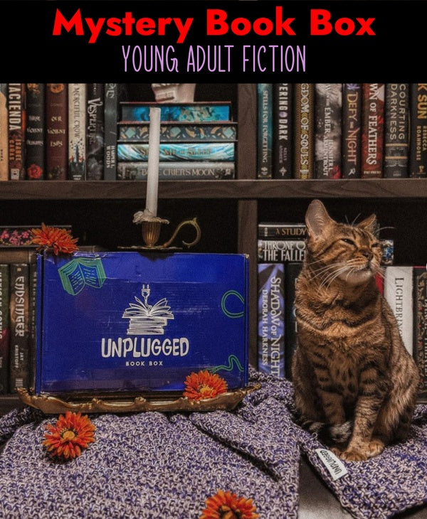 Mystery Book Box - Young Adult