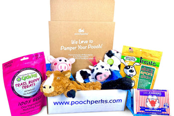 Popular Pooch Dog Box