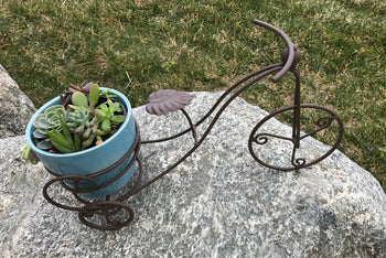 Succulent Bike