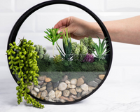 Wall Terrarium DIY Craft Kit