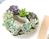 Large 9 inch Succulent Heart Arrangement, Live Succulent Gift Decor Ideas