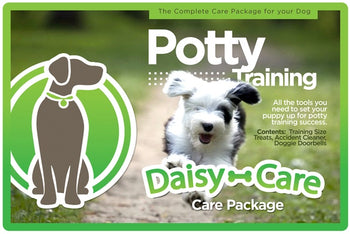 Potty Training Care Package