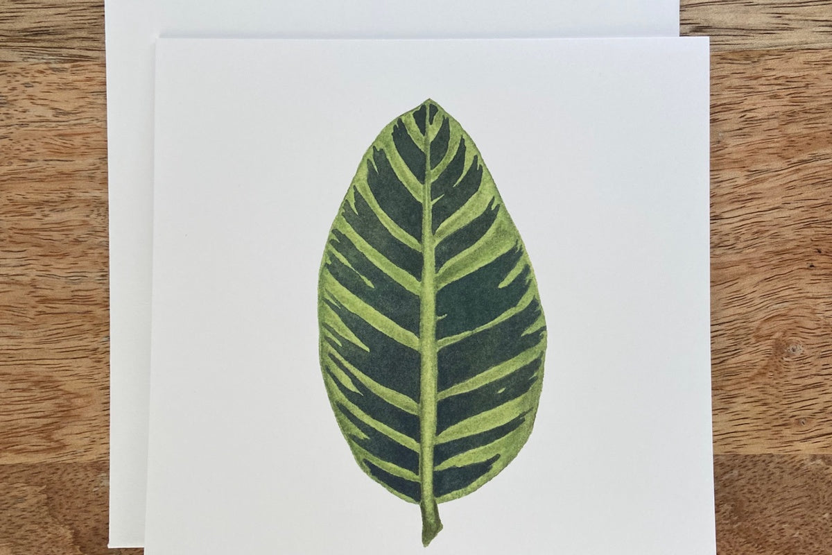 Zebra Plant Any Occasion Card