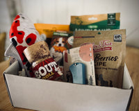 Papa Pupsie's Snax N Treats Pup Box