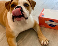 𝐃𝐨𝐠 𝐌𝐨𝐦 𝐌𝐲𝐬𝐭𝐞𝐫𝐲 𝐁𝐨𝐱 (10 items - for both dogs & their moms to enjoy!)