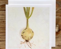 Onion Any Occasion Card