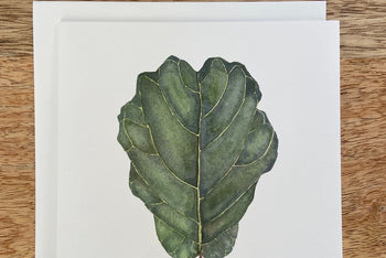 Fiddle Leaf Fig Plant Any Occasion Card