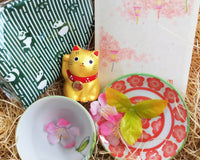 Kizuna Lifestyle Happy Mini Box (FREE Shipping Worldwide!)