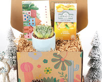 Warmest Wishes Succulent Gift Box - 1 Succulent & 1 Box of Lemon Ginger Tea, Christmas Holiday Gift Ideas