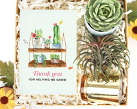 Gift Box - 1 Airplant & 1 Succulent, Live Plant Christmas Holiday Gift Ideas