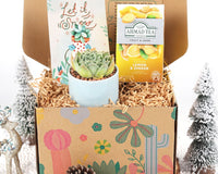 Warmest Wishes Succulent Gift Box - 1 Succulent & 1 Box of Lemon Ginger Tea, Christmas Holiday Gift Ideas