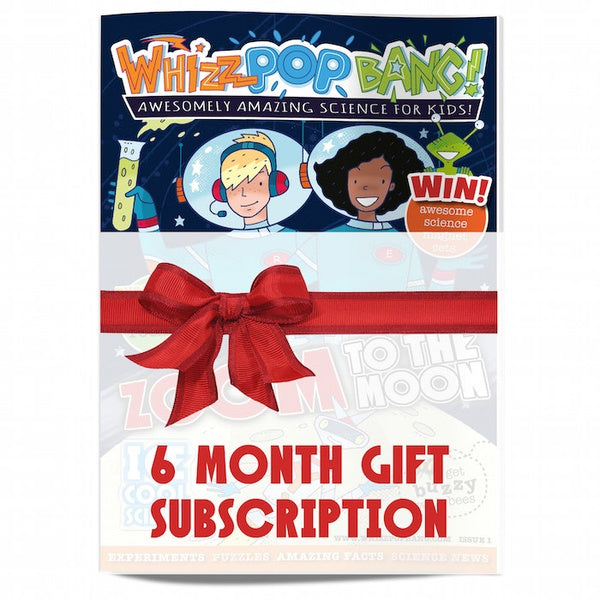 6 month gift subscription