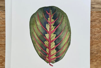 Red Prayer Plant Any Occasion Card