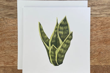 Snake Plant Any Occasion Card