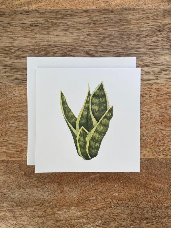 Snake Plant Any Occasion Card