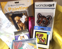 Kids Level 3 - Counted Cross Stitch & Punch Needle - Craft Subscription Box (Recommended Age 10+).