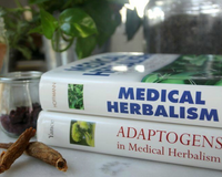 Medical Herbalism By David Hoffmann