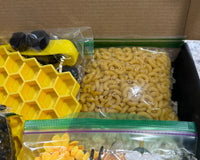 Bee Sensory Play Subscription Box