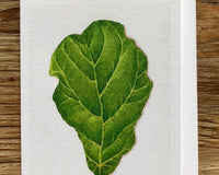 Fiddle Leaf Fig Plant (Oil Painting) Any Occasion Card