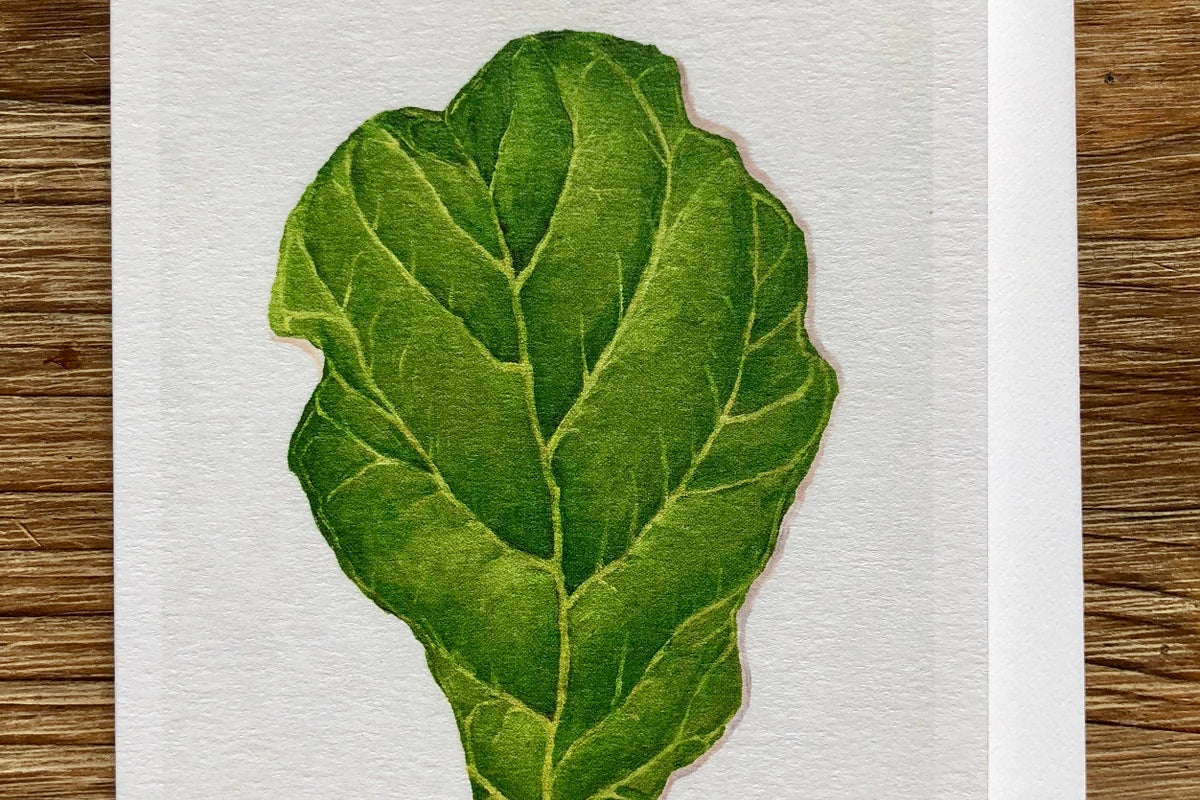 Fiddle Leaf Fig Plant (Oil Painting) Any Occasion Card