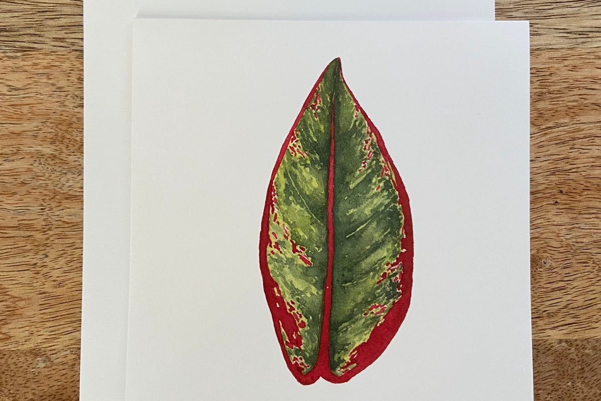 Chinese Evergreen Any Occasion Card