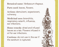 Apothecary Flashcards