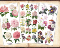 The All Floral Sticker Club by Violette Stickers