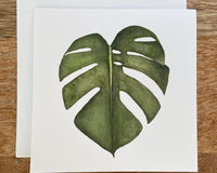 Monstera Plant Any Occasion Card