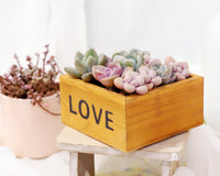 Succulent Arrangement Centerpiece Rectangle Wooden Planter 10″ x 3.5″ x 3″