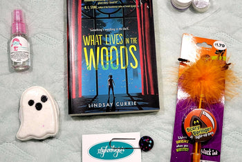 Scary Good Reads Tween mini box