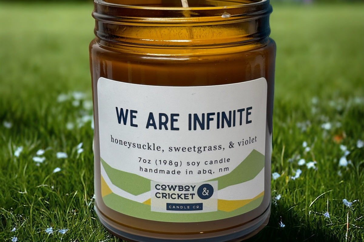 We Are Infinite Soy Candles and Melts - Honeysuckle, Sweetgrass, & Violet - Perks of Being A Wallflower Inspired