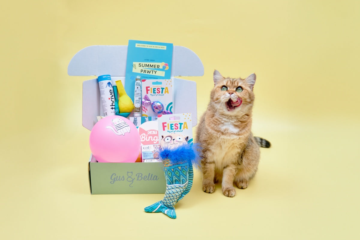 Best Subscription Boxes for Cats Cratejoy