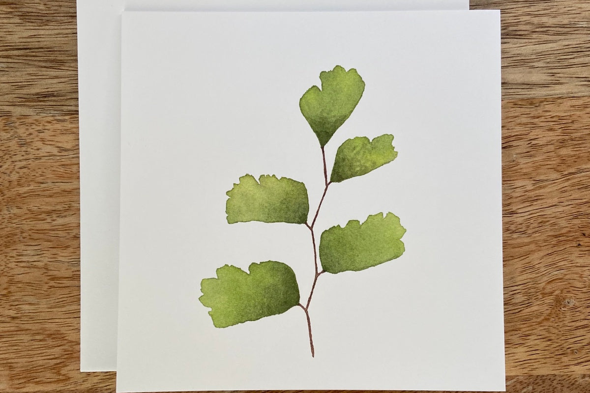 Maidenhair Fern Plant Any Occasion Card