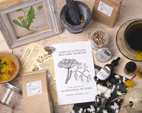 Herbal Apprentice Box