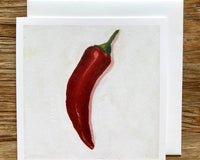 Single Chili Pepper Any Occasion Card