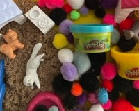 Paws & Play Sensory Box Pet Themed Activities for Kids