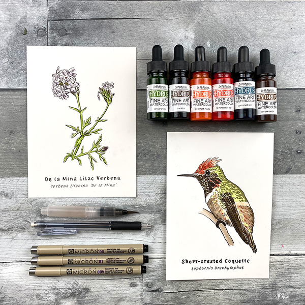 De La Mina Verbena and Short-crested Coquette Lesson Crate: You can paint these! Optional art supplies included.