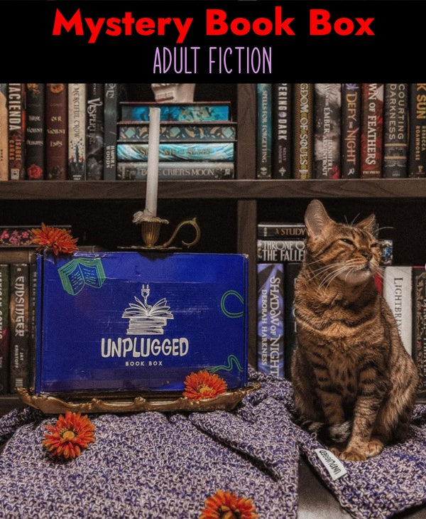 Mystery Book Box - Adult Fiction