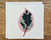 Ficus Ruby Plant Any Occasion Card